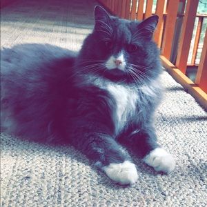 Meet your Posher, Stephanie